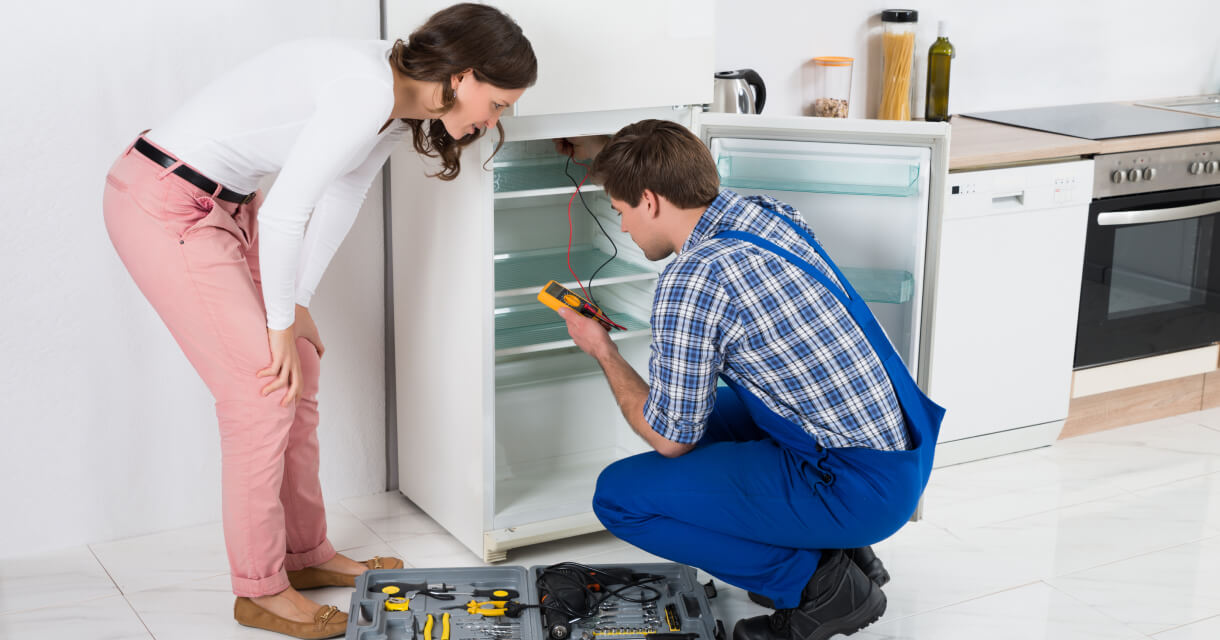 appliance repair services ladner