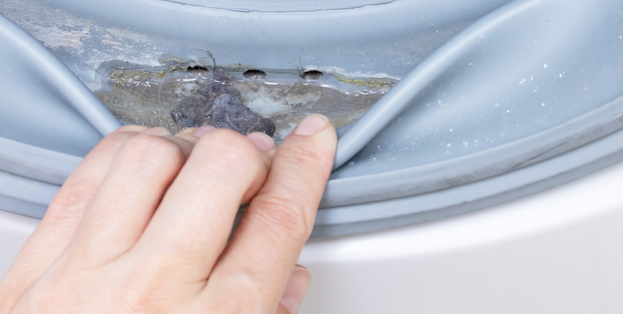 get rid of mold on rubber gasket in washing machine